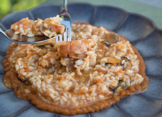 my-dubrovnik-local-friend-took-me-on-the-ultimate-food-tour