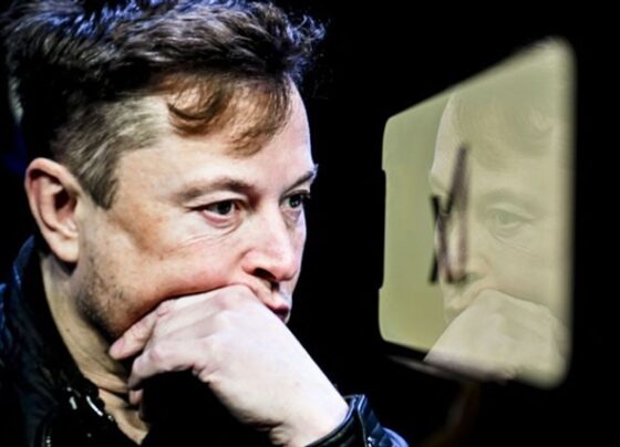 tesla-ceo-predicts-ai’s-future-hinges-on-china’s-power-capacity